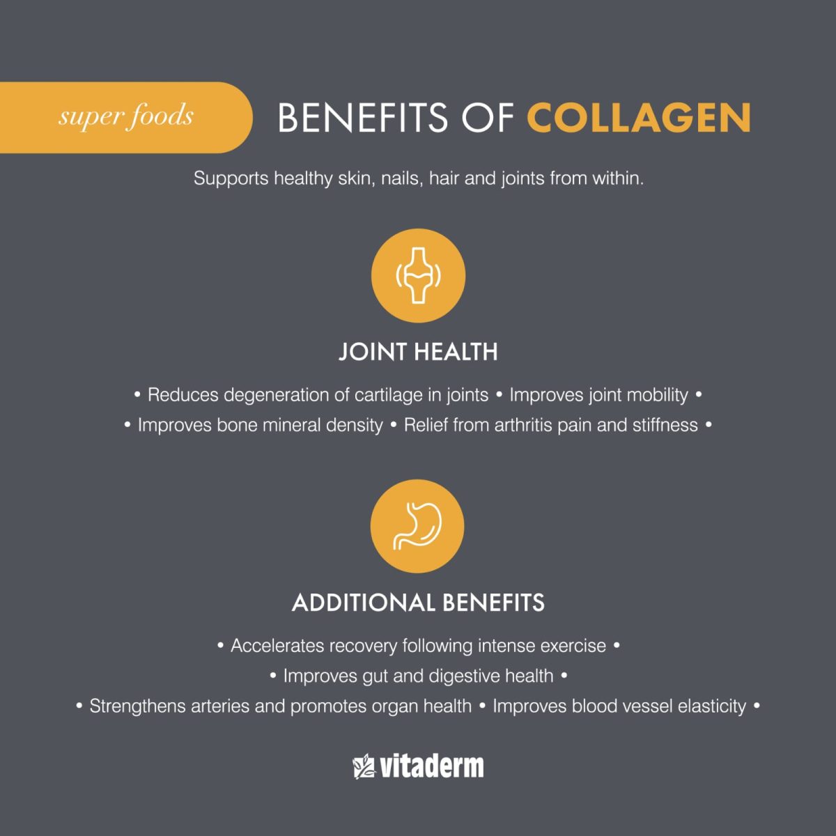 Vitaderm Collagen Powder | 250g | Enhances Skin Hydration & Firmness - Image 3