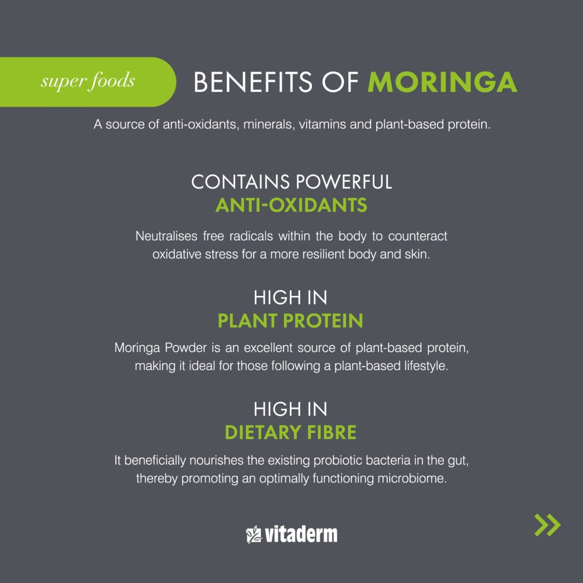 Vitaderm Moringa Powder | 250g |Enhances Immune System Resilience - Image 2